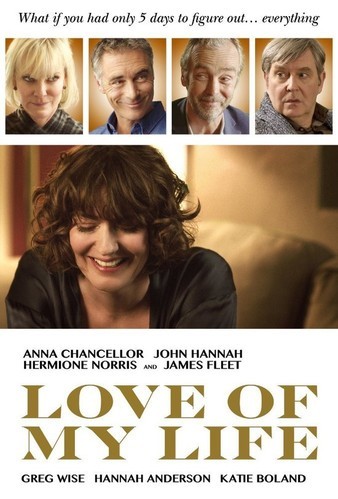 Love.of.My.Life.2017.1080p.BluRay.REMUX.AVC.DTS-HD.MA.5.1-FGT