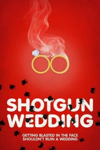 Shotgun.Wedding.2013.1080p.AMZN.WEBRip.DDP5.1.x264-ABM